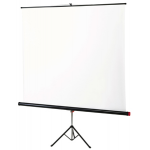 Экран на штативе 220х220 cм Braun Standard арт. RN17052